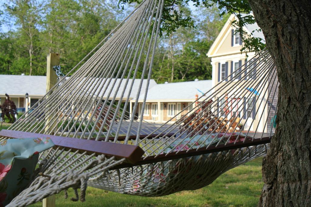 Eagle Wing Inn - Cape Cod Eastham Exterior photo